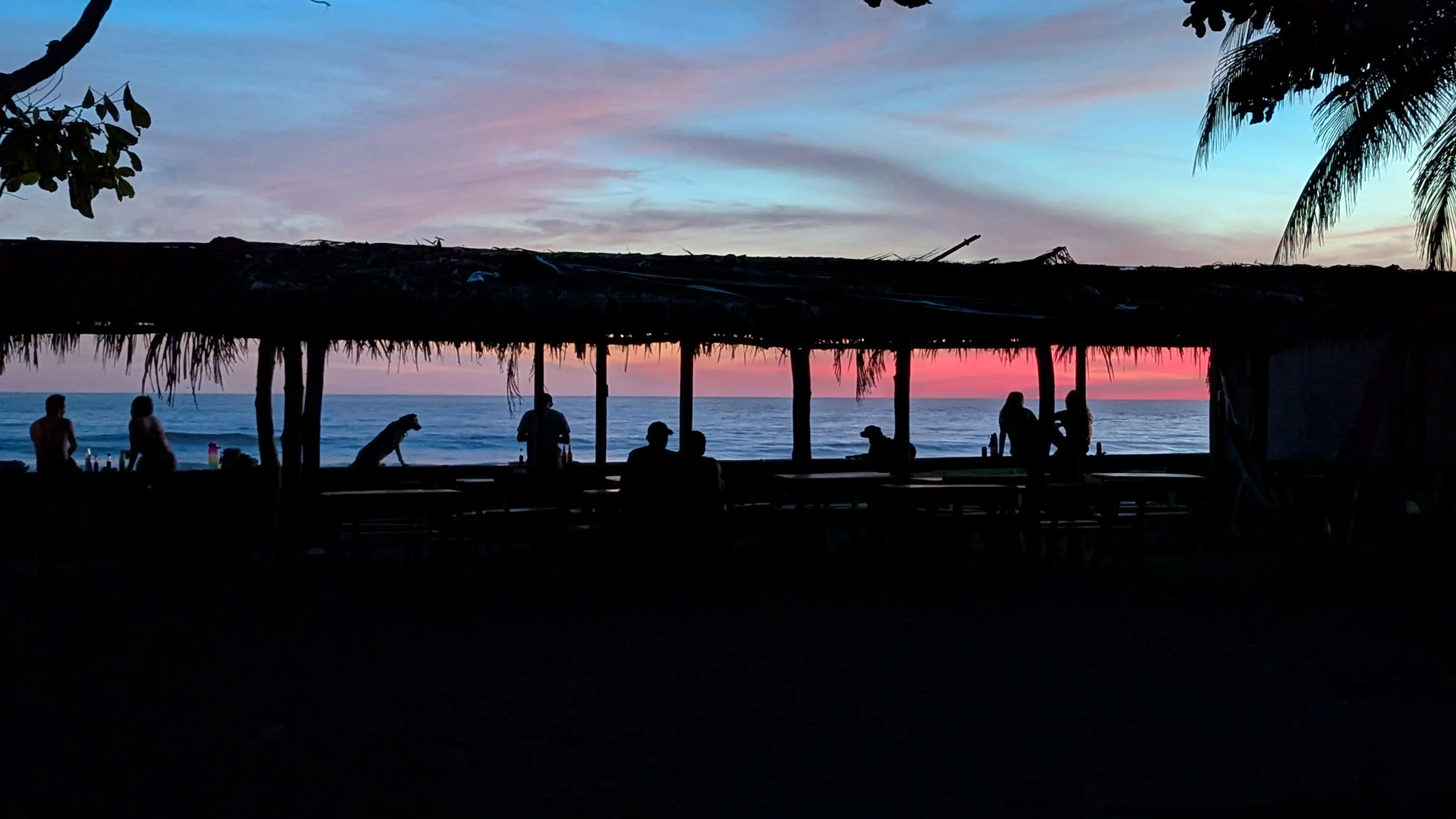 Fondo Playa El Zonte Zunsal